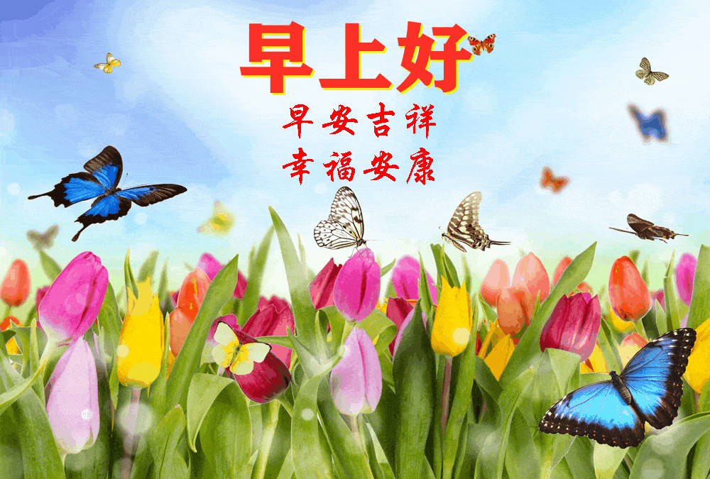 形容笑容很灿烂的句子（赞美人笑得甜美的句子）
