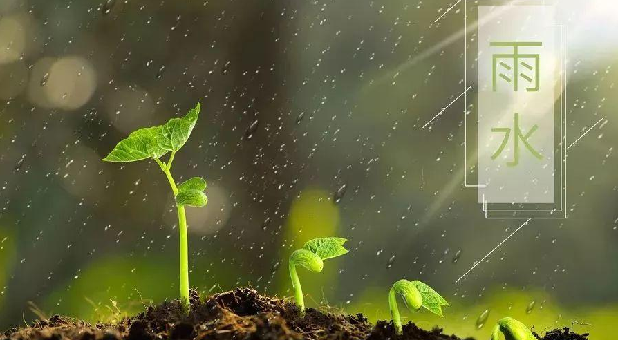 雨水的诗词有哪些（关于雨水节气的古诗词）