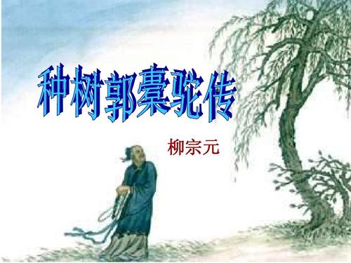 郭橐驼种树要点是什么（种树郭橐驼传翻译及注释）