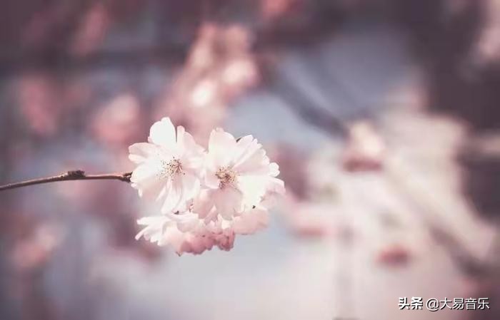 描写心情的句子唯美短句（打动人心的情感语录）