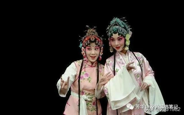 中国戏曲鉴赏论文（戏曲感悟100字）