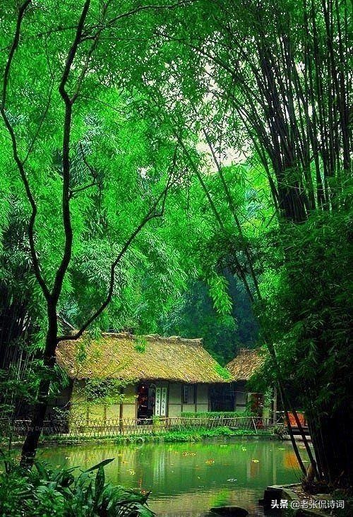 空山新雨后是哪首诗（空山新雨后天气晚来秋全诗及赏析）