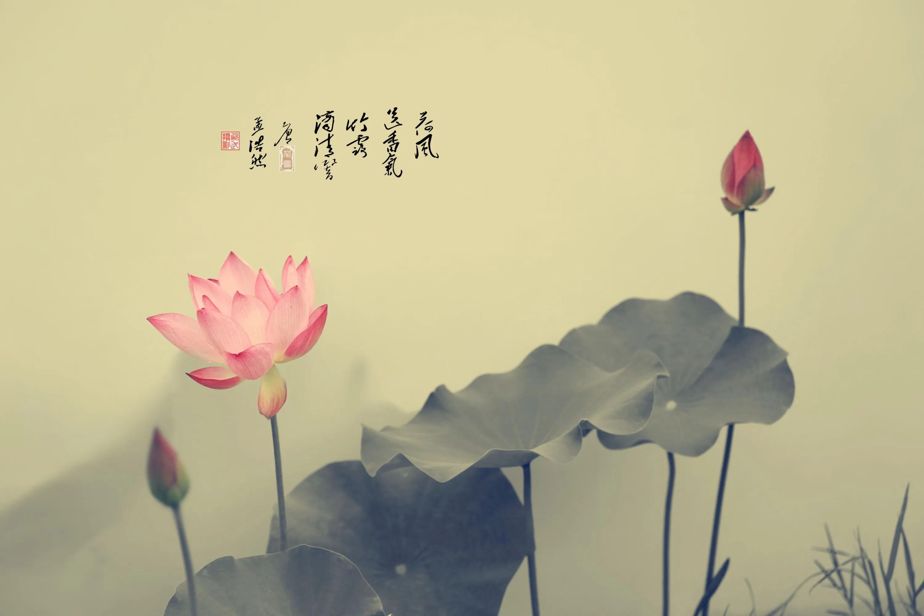 致自己心静的句子（关于心静的经典语句）