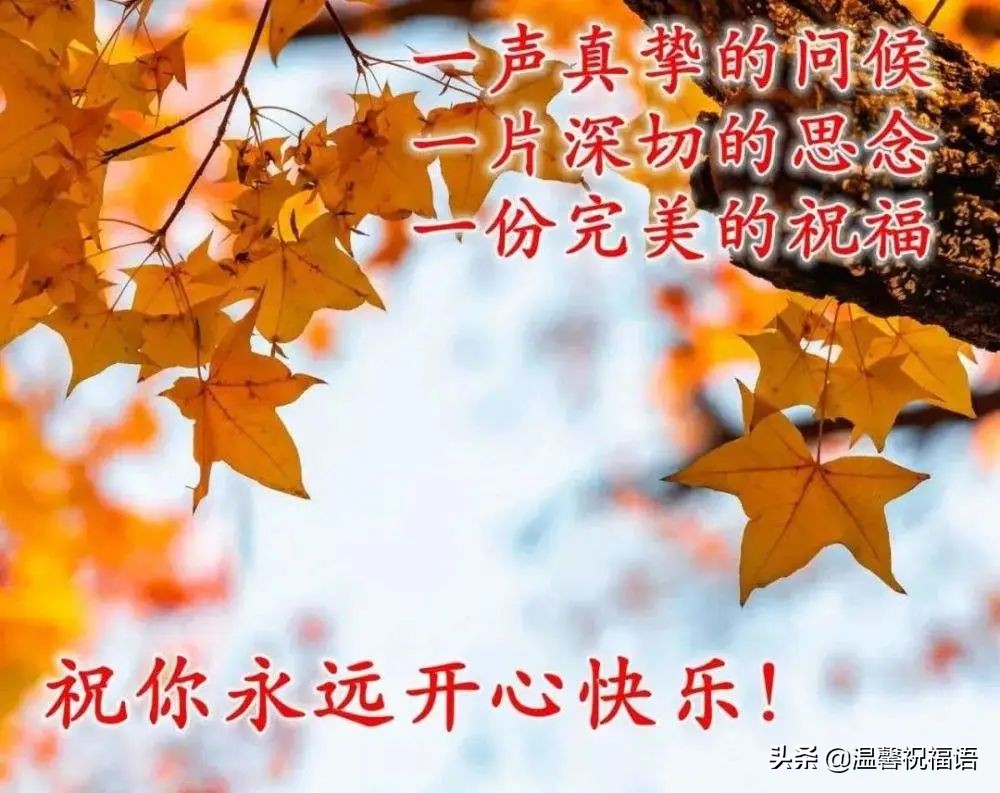 早上好的句子短语（可爱调皮幽默的早安句子）
