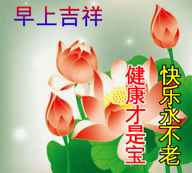 每日问候语早安（早上好经典问候句子）
