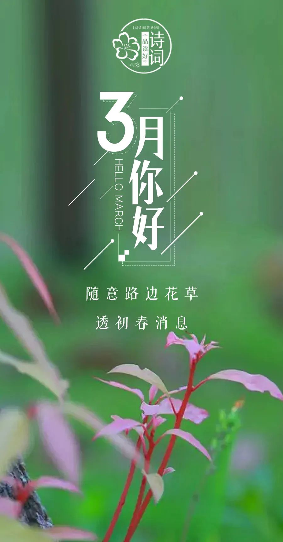 描写初春的句子唯美（关于早春的诗句赏析）