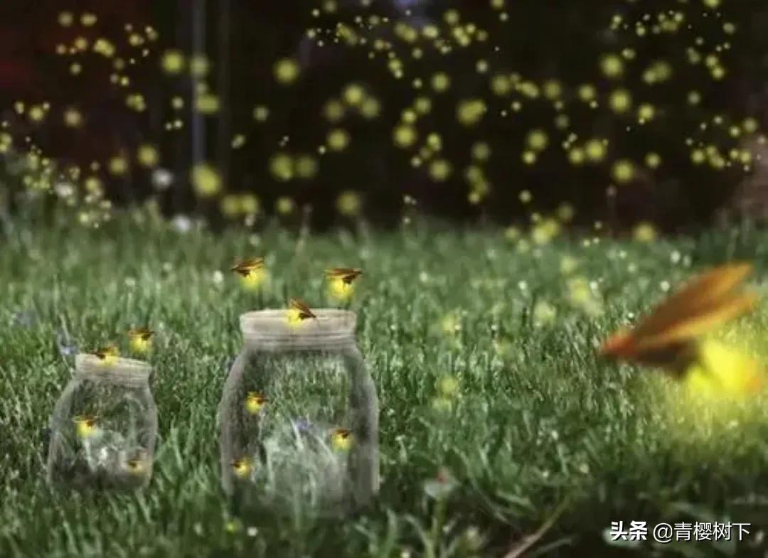 余光中诗歌精选（余光中的诗集分享）
