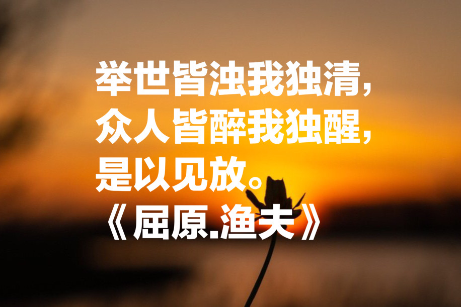 屈原的诗句唯美（屈原的名言名诗）