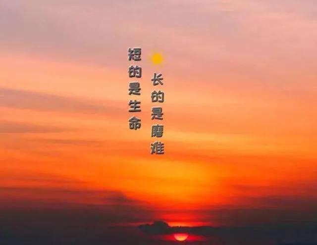 正能量句子励志短句子（激励上进正能量句子）
