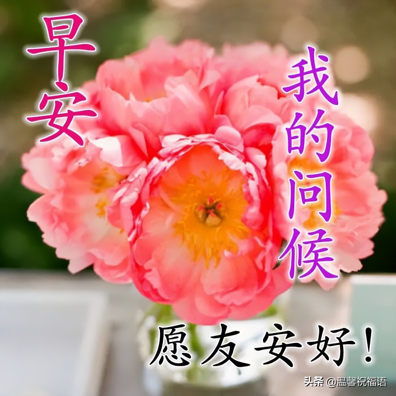 早上好的句子短语（可爱调皮幽默的早安句子）