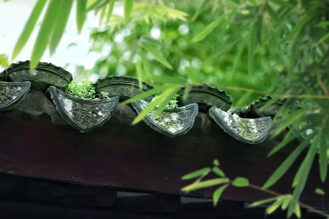 优美古诗词唯美的句子（古风古韵唯美的诗词）