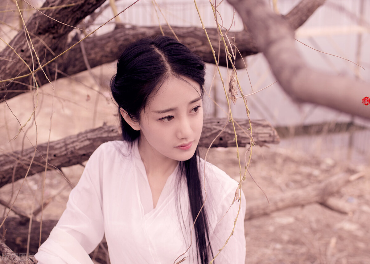 对女性巾帼的赞美诗句（歌颂女性巾帼的名言）