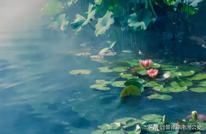 写夏天的古诗有什么（关于描写夏天的古诗）