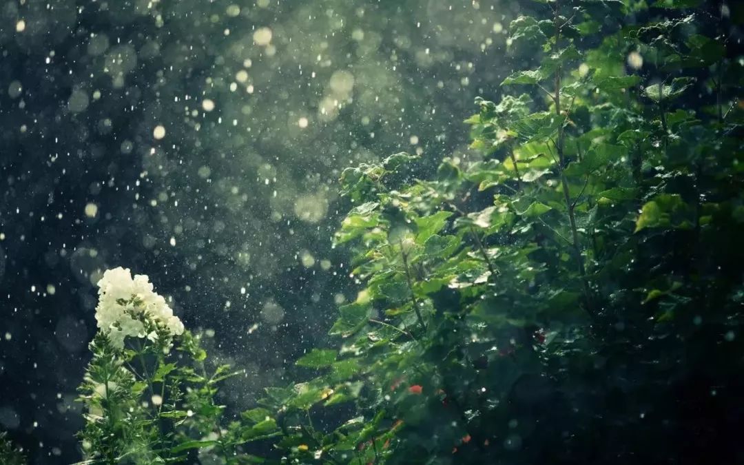雨水节气的诗句有哪些（雨水的诗句古诗大全）