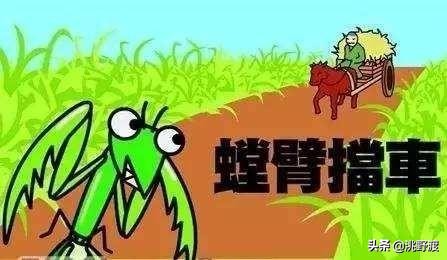 螳臂当车下一句是什么（庄子人世间论语）