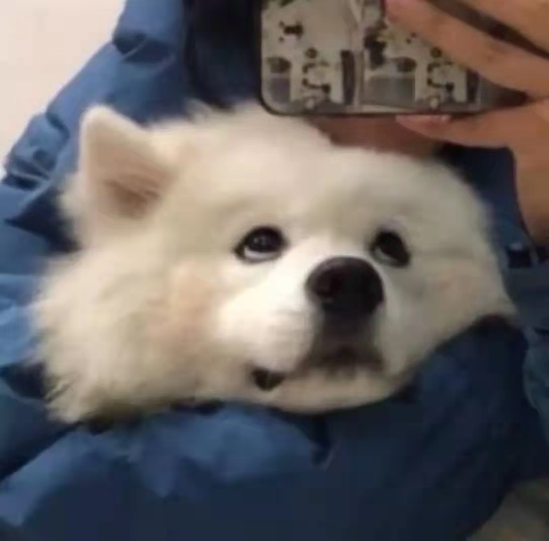 思念故乡的唯美句子（关于乡愁的唯美句子）