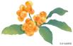 我的自传作文600字（优秀自传范文600字）