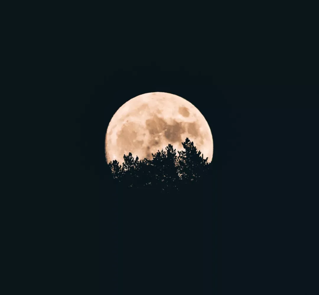 现代诗歌精选（很小众却很惊艳的现代诗）