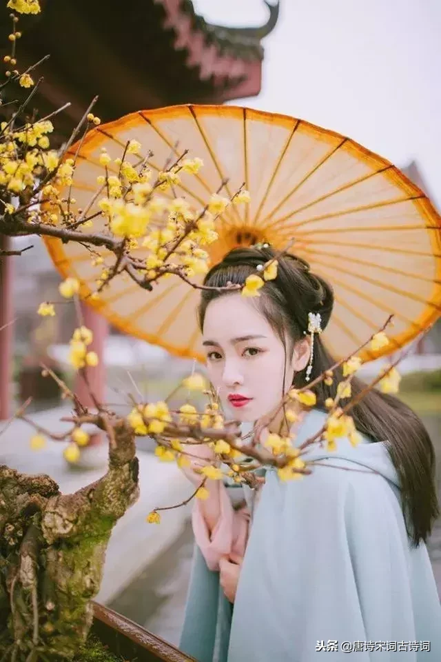 辛弃疾青玉案翻译（辛弃疾青玉案原文及赏析）