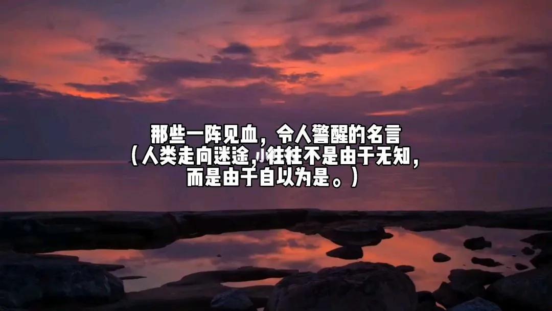 正能量句子励志短句子（激励上进正能量句子）