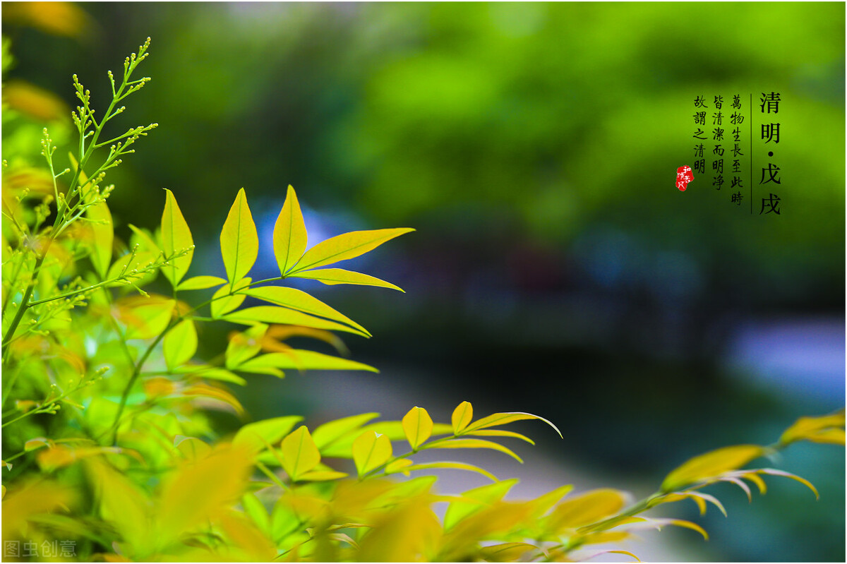 清明节一句话短语（关于清明节的句子简单）