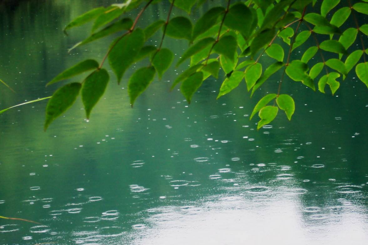 寒雨连江夜入吴什么意思（寒雨连江夜入吴的意思翻译）