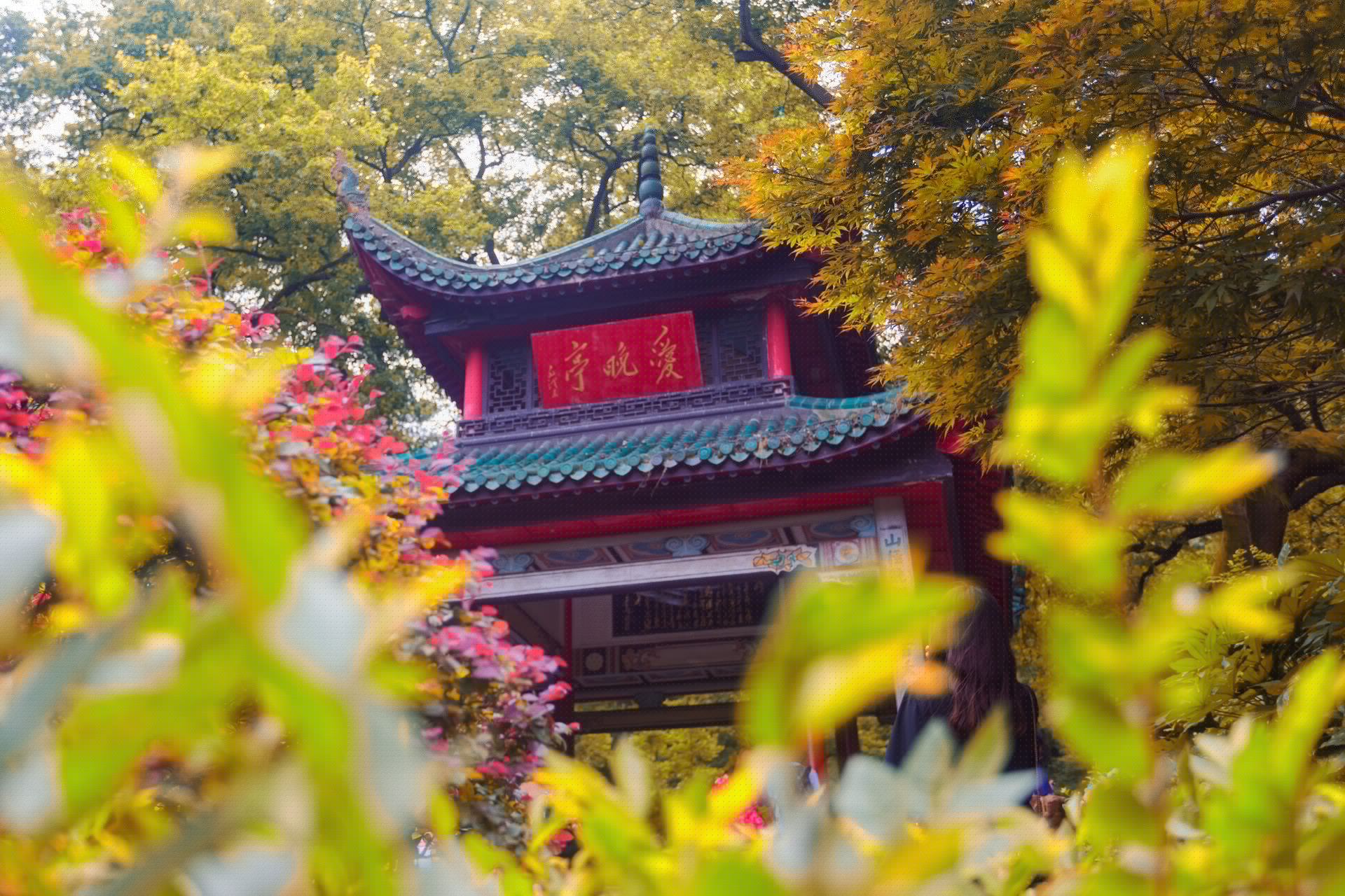 和春天有关的诗句有哪些（描写春天的优美诗句）