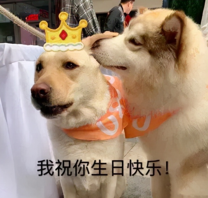 有内涵幽默生日祝福语（生日祝福语创意幽默）