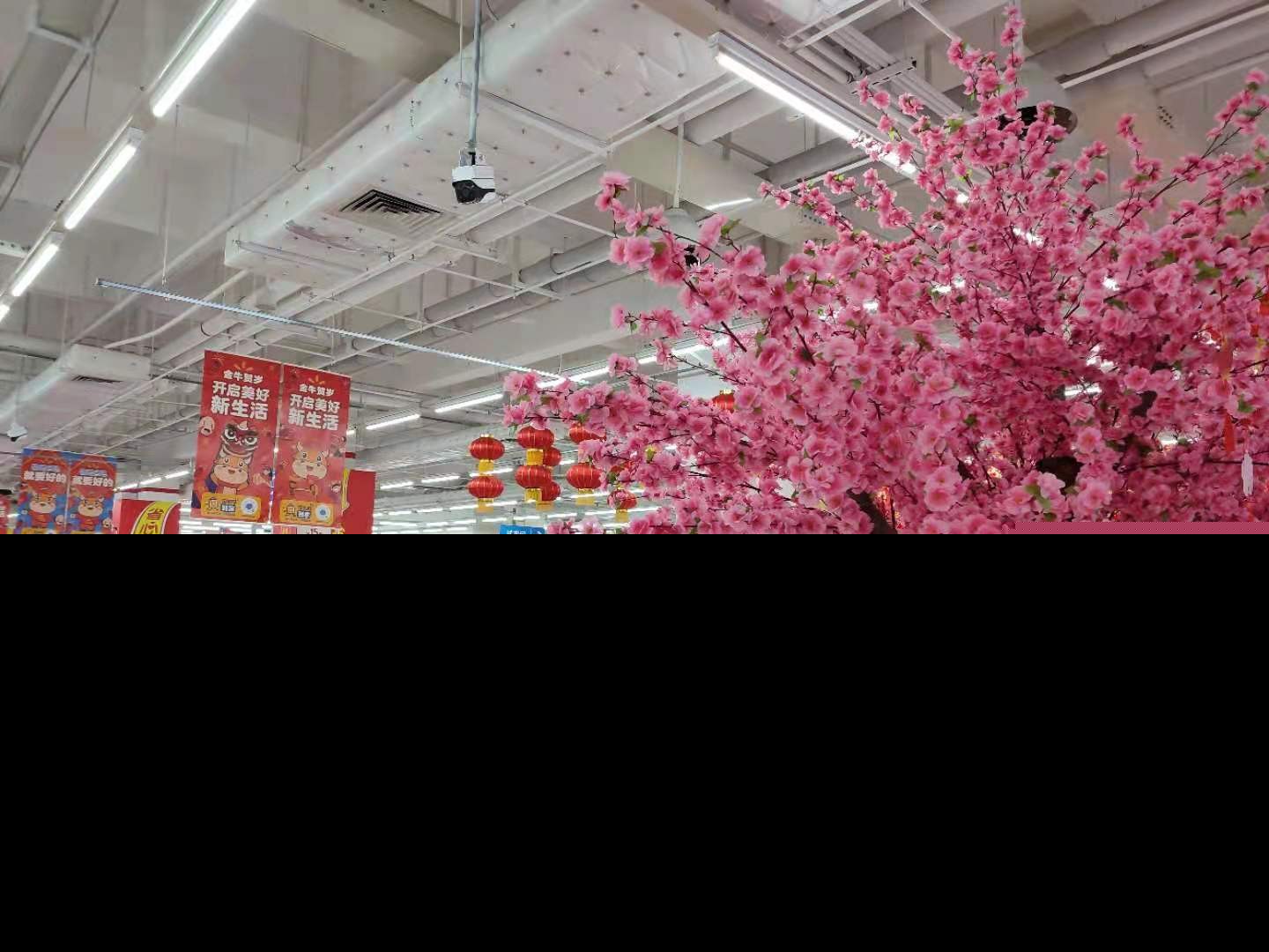口是心非是什么意思（口是人非意思解释）