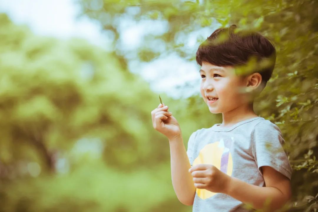 人生感言句子大全（最经典的人生感悟）