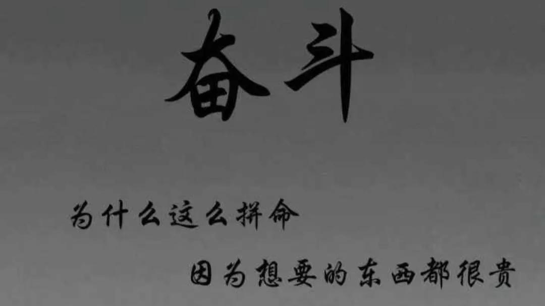 形容努力就有收获的句子（努力终有回报的美句）