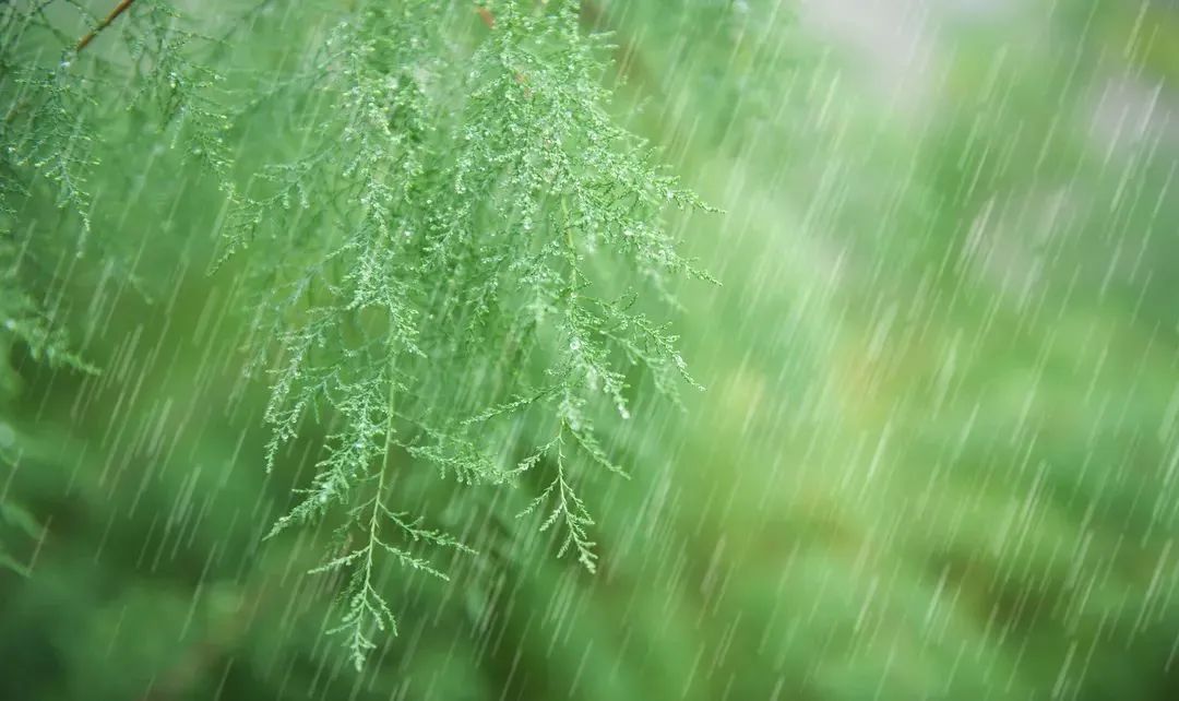春的诗句大全飞花令（带春字的古诗全部）