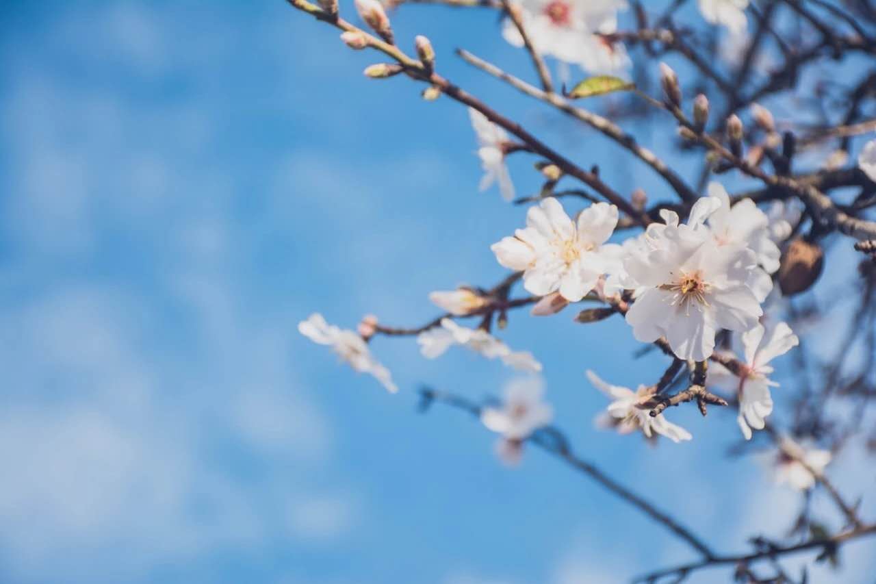 经典诗词大全（千古绝句最美励志古诗文鉴赏）