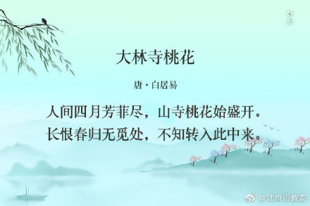 与月有关的诗句有哪些（关于描写月亮的句子）