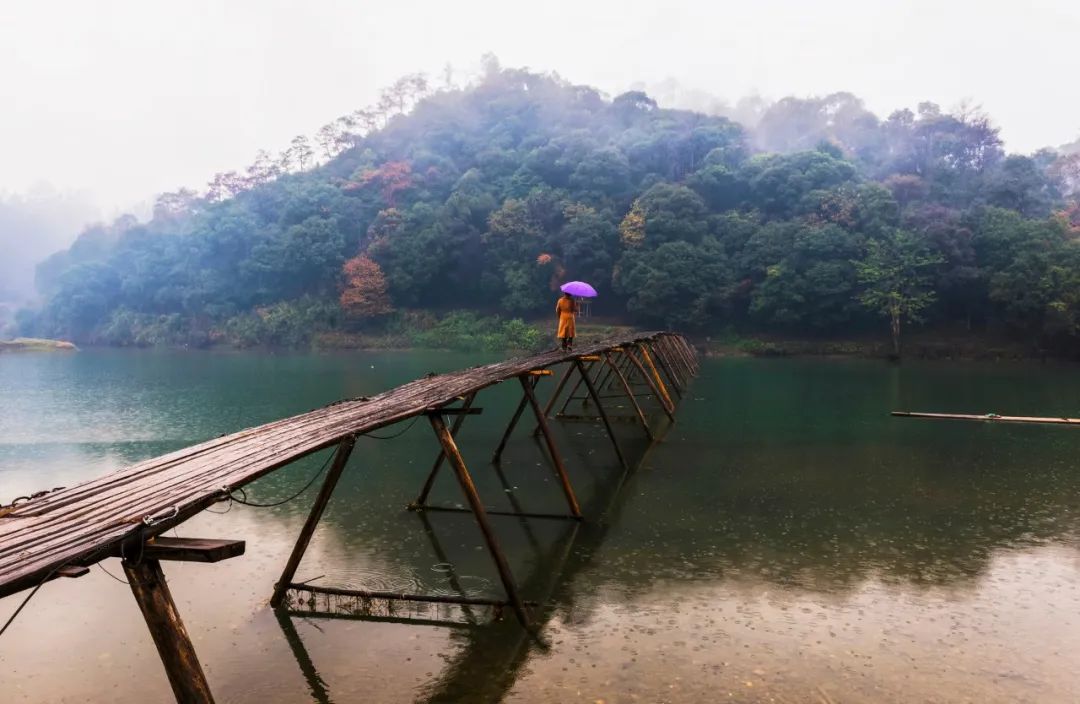关于雨的诗句古诗（描写雨的古诗词欣赏）
