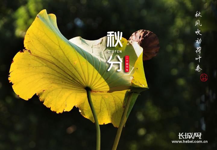 秋分有什么美好寓意（形容秋分的诗句）