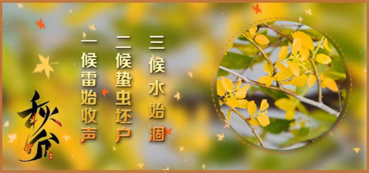 秋分有什么美好寓意（形容秋分的诗句）