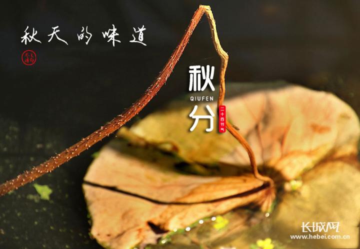 秋分有什么美好寓意（形容秋分的诗句）