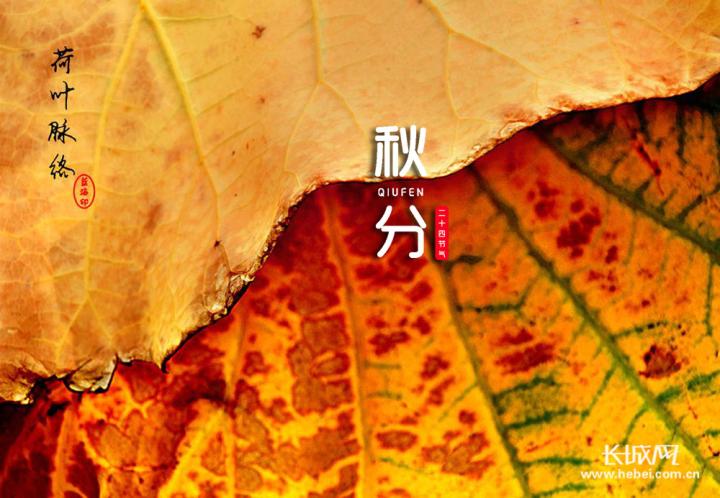 秋分有什么美好寓意（形容秋分的诗句）