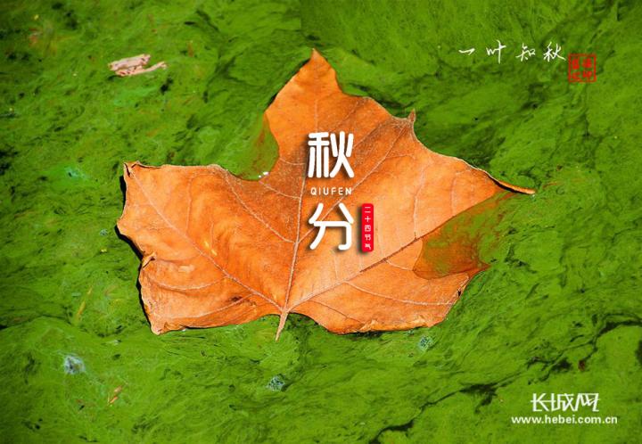 秋分有什么美好寓意（形容秋分的诗句）