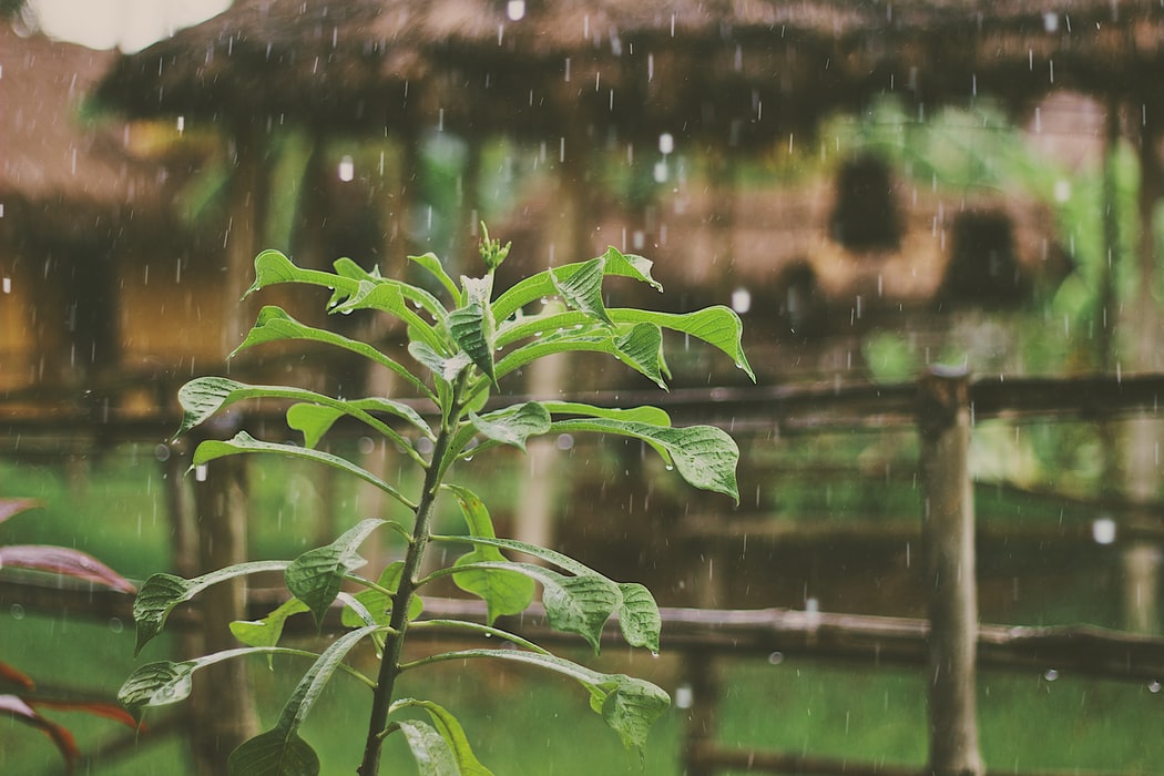 大雨倾盆是什么意思（大雨倾盆的意思和造句）