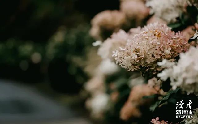 人生哲理句子唯美简短（经典人生哲理语录分享）