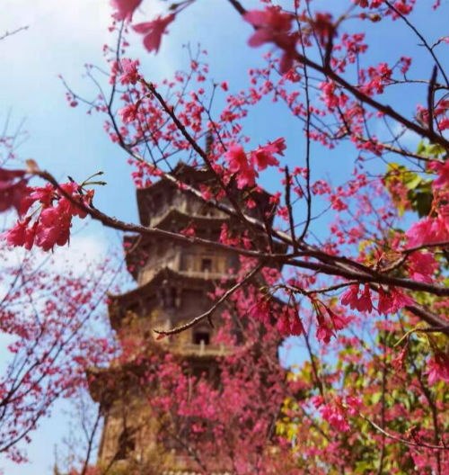 旅途愉快简短的句子（一路风景一路心情句子）
