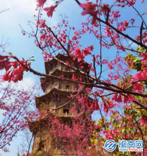 励志签名简短的正能量句子（鼓励自己奋斗的个性签名）
