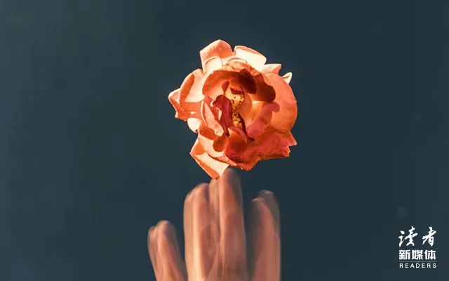 梁实秋语录活的极致（梁实秋经典语录摘抄）
