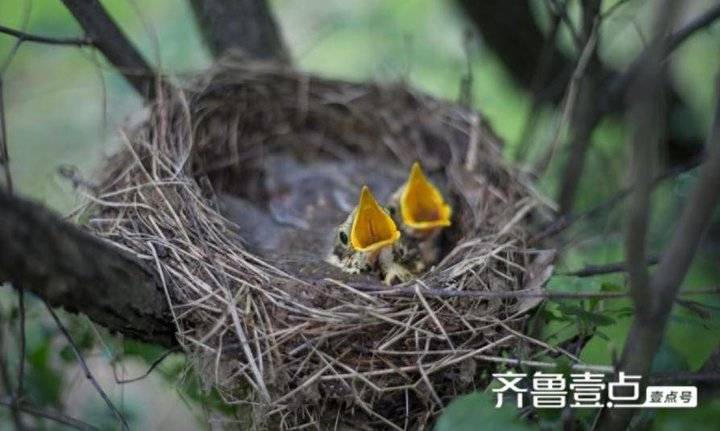 中国现当代散文鉴赏（散文简短优美句子摘抄加赏析）