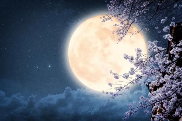 中秋节诗句古诗大全（描写中秋的诗句赏析）