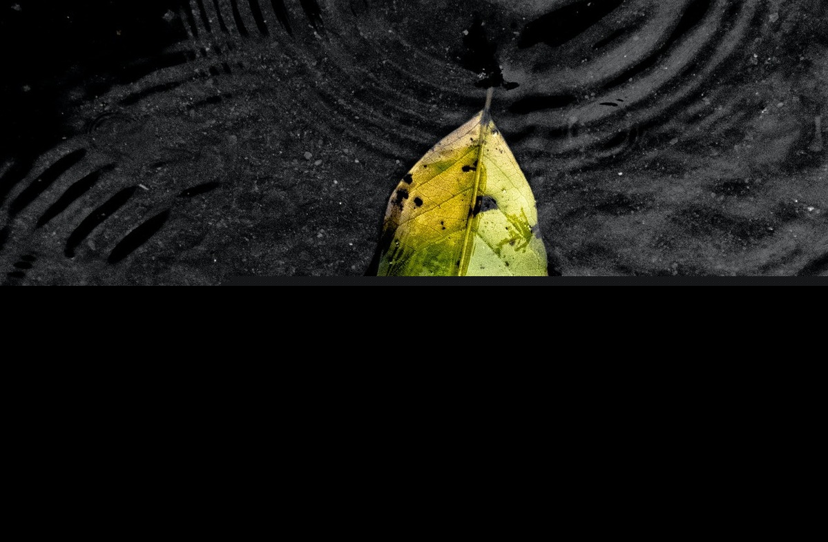 随波逐流是什么意思（随波逐流解释及例句）