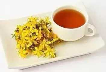 重阳节是什么节（重阳节的时间和由来）