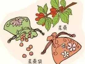 重阳节是什么节（重阳节的时间和由来）